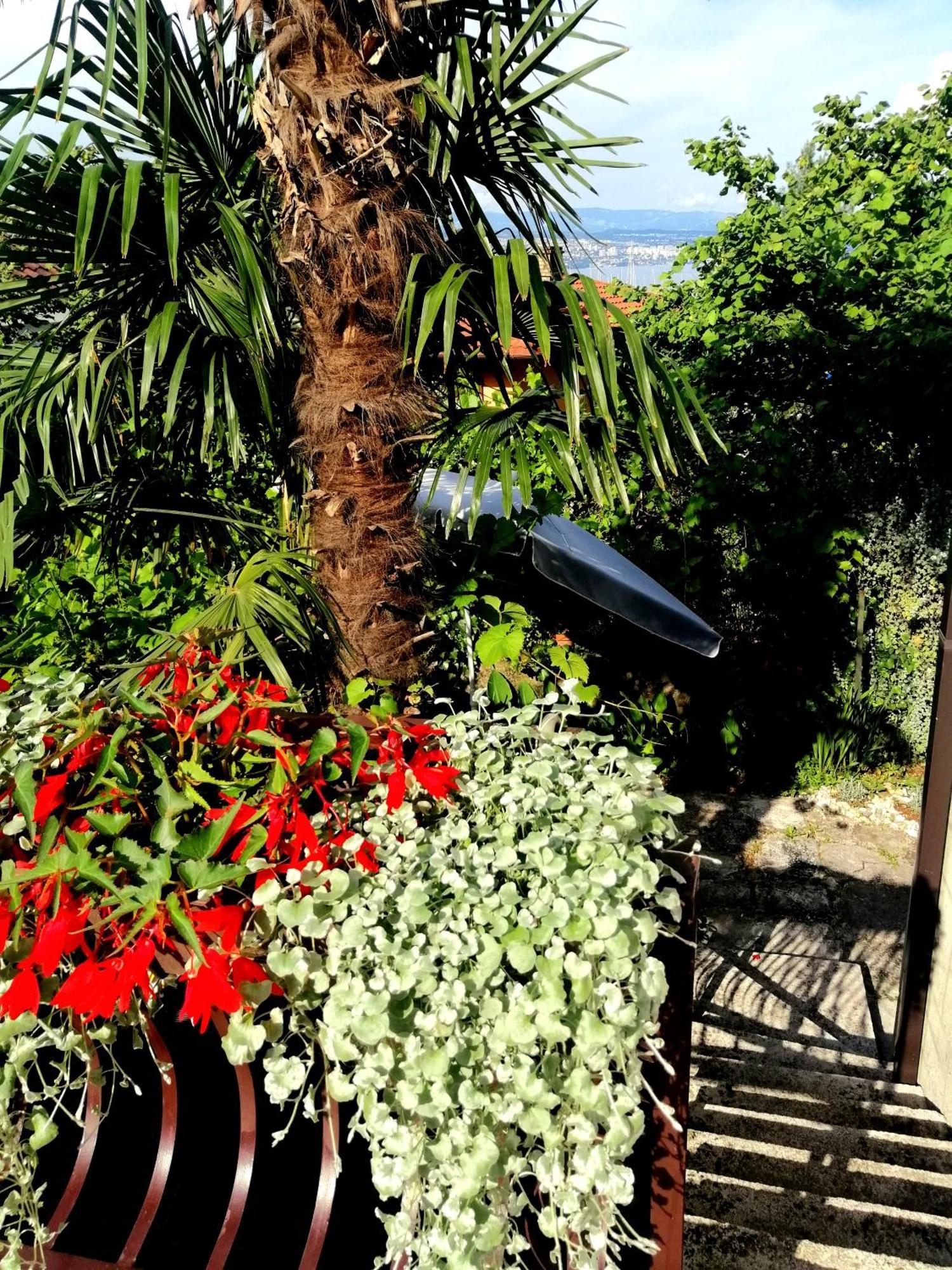 Apartment Sea Garden Ičići المظهر الخارجي الصورة